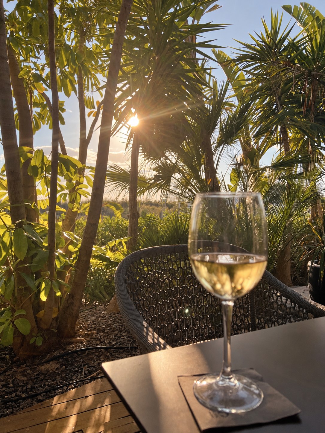 A glass of wine on a sunlit garden terrace